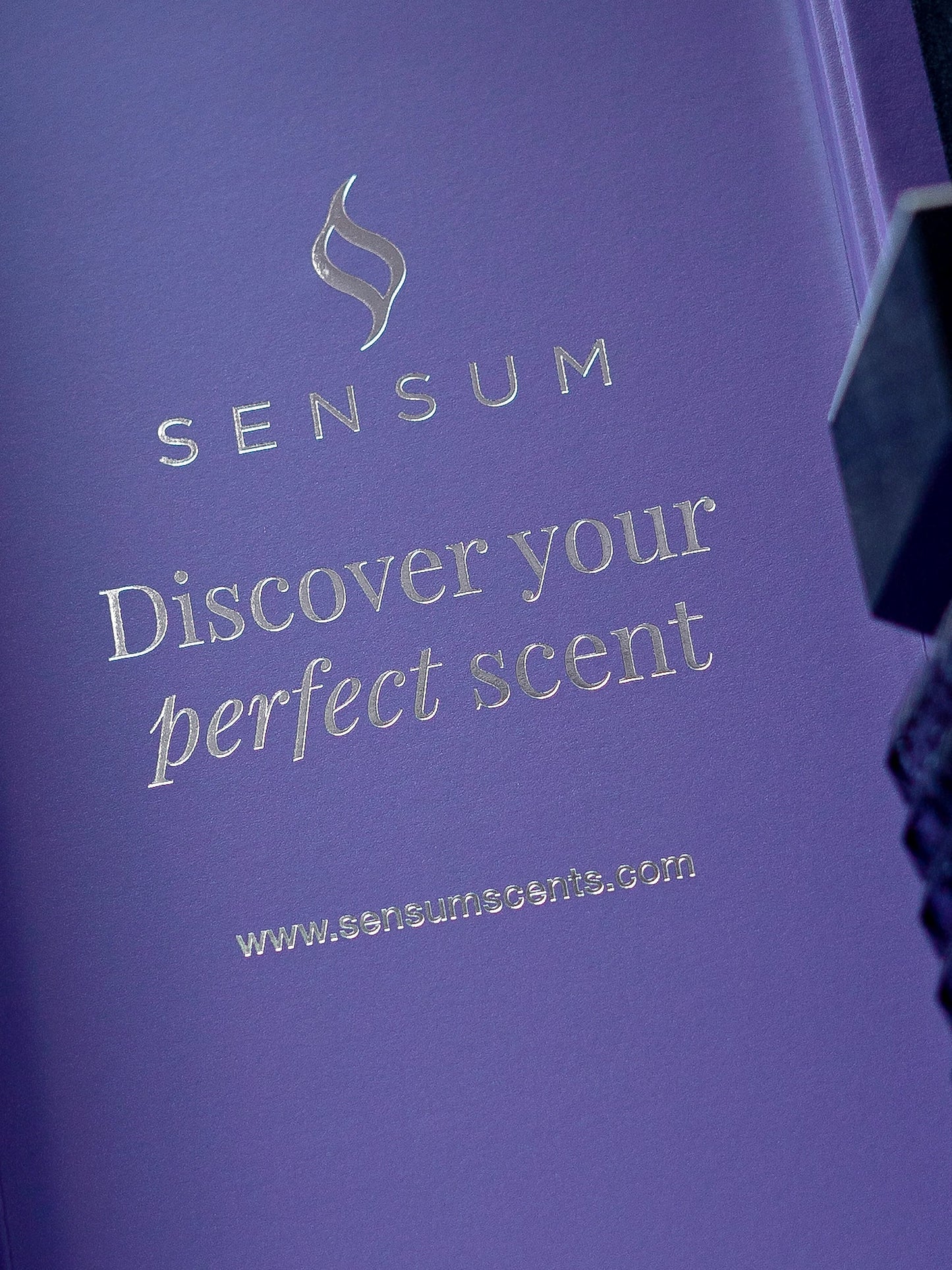 Brazilian Nights - Sensum Reed Diffuser (500ml)