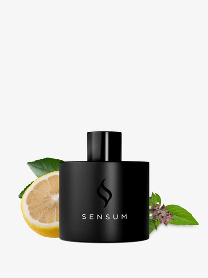 Californian Breeze - 30ml Fragrance for Mist Diffuser